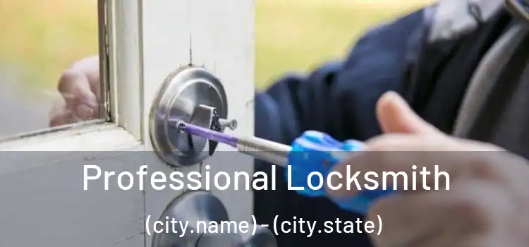 Professional Locksmith (city.name) - (city.state)